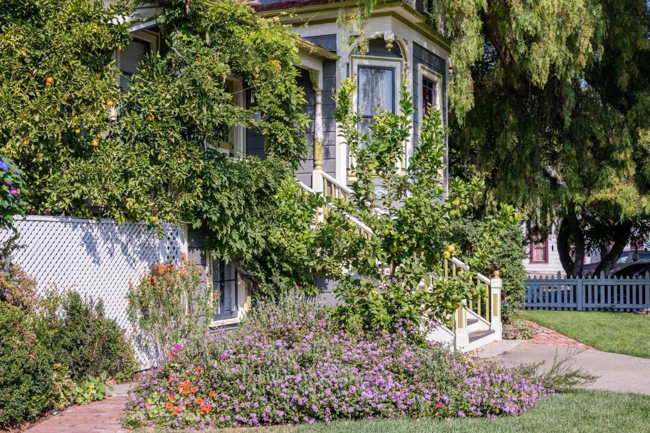 סנטה קלרה Madison Street Inn B&B מראה חיצוני תמונה